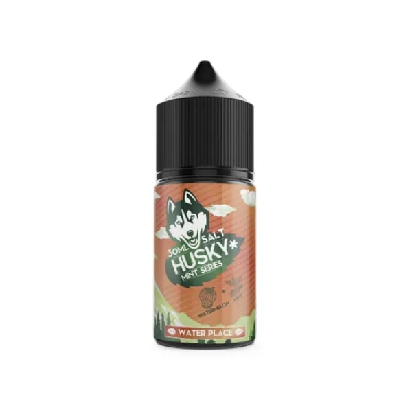 Жидкость Husky salt Mint series Water Place (Арбуз холодок) (30 мл, 20 мг/мл) в Санкт-Петербурге